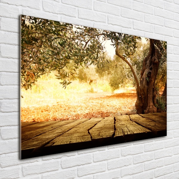 Cuadro de cristal templado moderno horizontal Olivo
