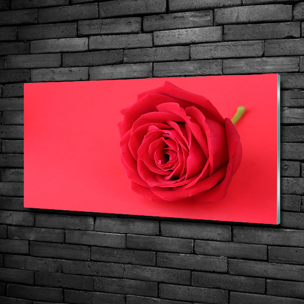 Impresión en cristal con acabado brillante horizontal Rosa roja