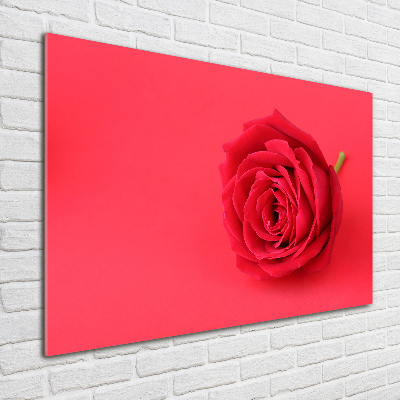 Impresión en cristal con acabado brillante horizontal Rosa roja