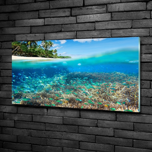Cuadro de cristal templado moderno horizontal Arrecife de coral