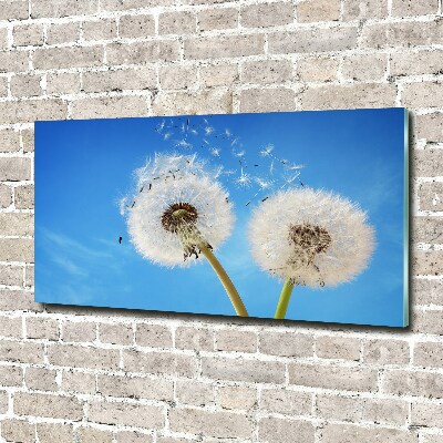 Cuadro de cristal templado moderno horizontal Dientes de león