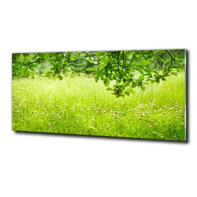 Cuadro decorativo de vidrio para salón horizontal Prado verde