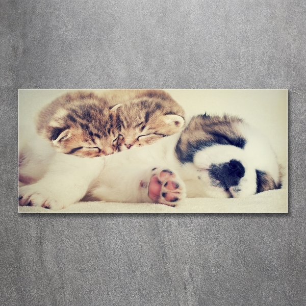 Impresión en cristal con acabado brillante horizontal Dos gatos y un perro