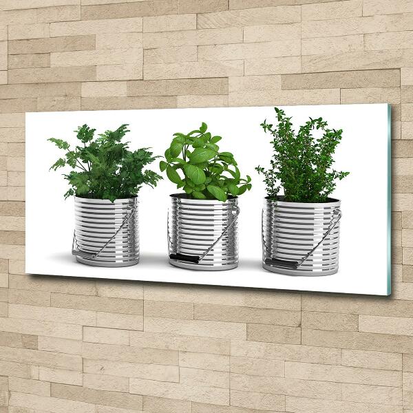 Impresión en cristal con acabado brillante horizontal Plantas aromáticas