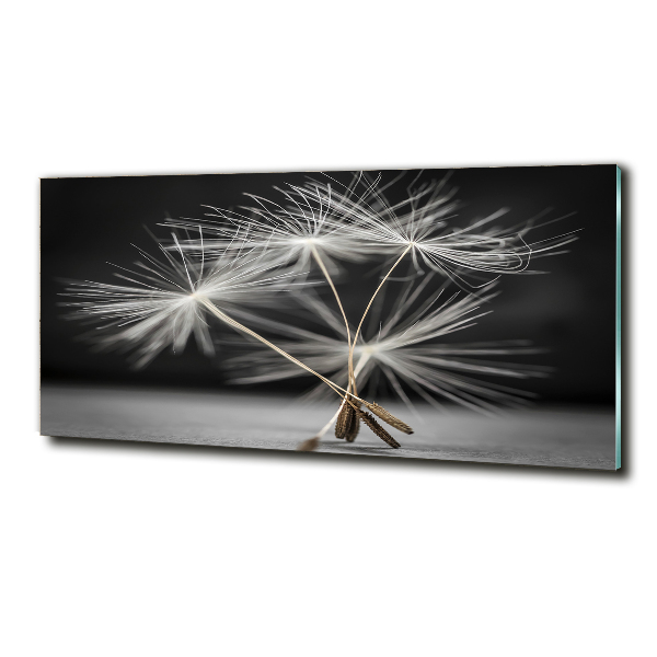 Foto en cristal de alta calidad con impresión uv horizontal semillas de diente de león