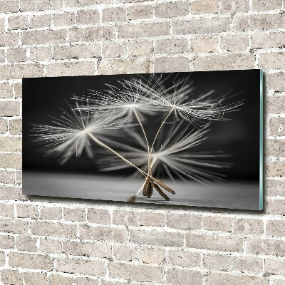 Foto en cristal de alta calidad con impresión uv horizontal semillas de diente de león