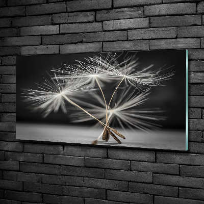 Foto en cristal de alta calidad con impresión uv horizontal semillas de diente de león