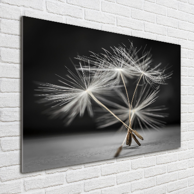 Foto en cristal de alta calidad con impresión uv horizontal semillas de diente de león