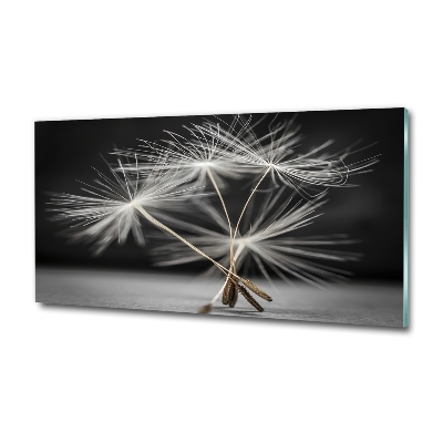 Foto en cristal de alta calidad con impresión uv horizontal semillas de diente de león