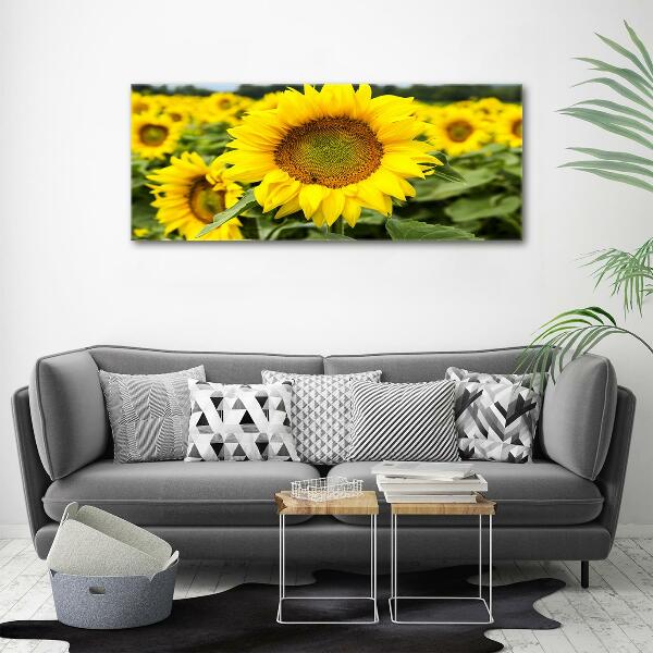 Cuadro decorativo de vidrio para salón horizontal Un campo de girasoles