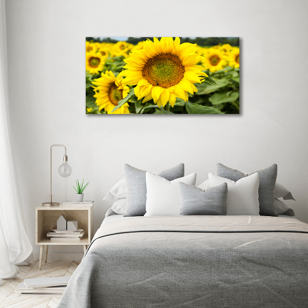 Cuadro decorativo de vidrio para salón horizontal Un campo de girasoles