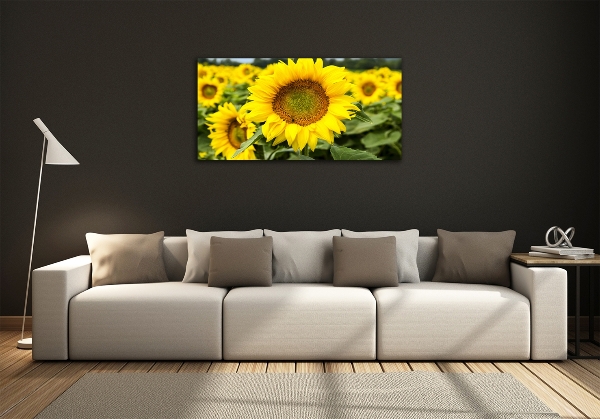 Cuadro decorativo de vidrio para salón horizontal Un campo de girasoles