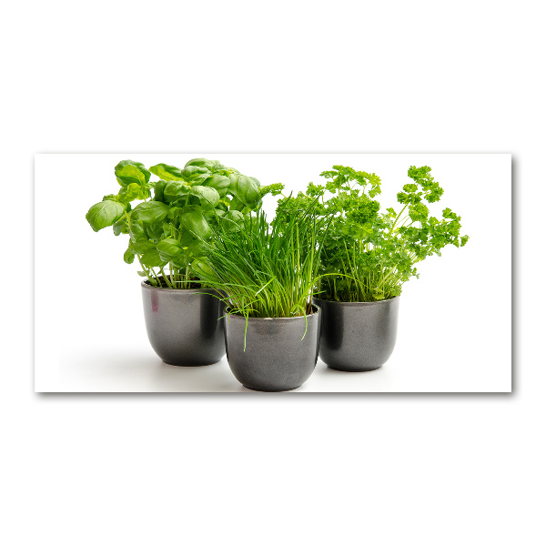 Cuadro decorativo de vidrio para salón horizontal Hierbas en macetas
