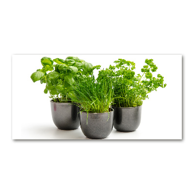 Cuadro decorativo de vidrio para salón horizontal Hierbas en macetas