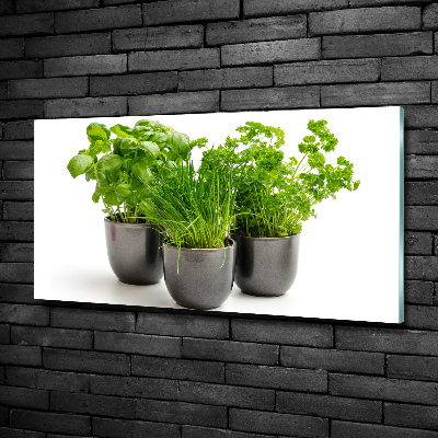 Cuadro decorativo de vidrio para salón horizontal Hierbas en macetas