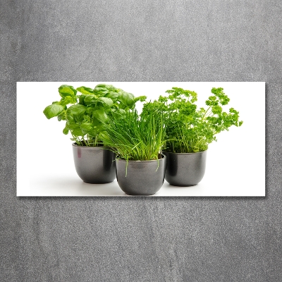 Cuadro decorativo de vidrio para salón horizontal Hierbas en macetas