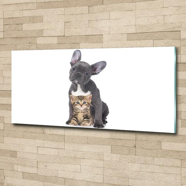 Impresión en cristal con acabado brillante horizontal Perro y gato
