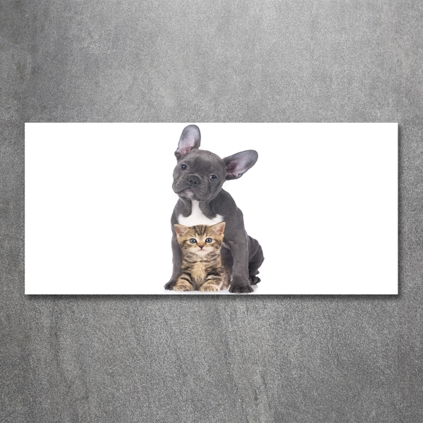 Impresión en cristal con acabado brillante horizontal Perro y gato