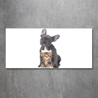 Impresión en cristal con acabado brillante horizontal Perro y gato