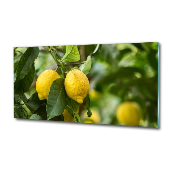 Cuadro decorativo de vidrio para salón horizontal Limones en el árbol