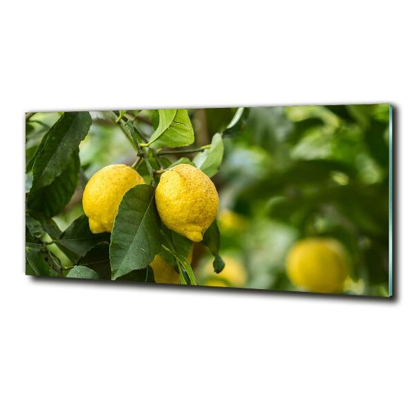 Cuadro decorativo de vidrio para salón horizontal Limones en el árbol