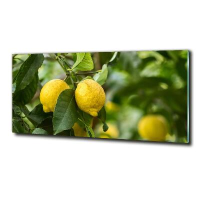 Cuadro decorativo de vidrio para salón horizontal Limones en el árbol