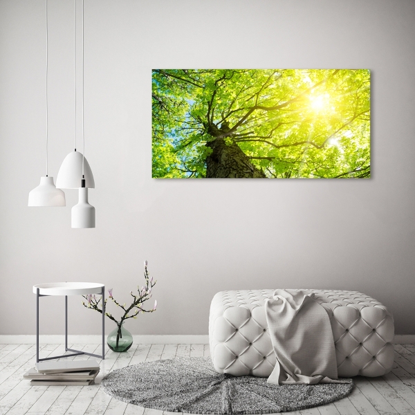 Cuadro de cristal templado moderno horizontal Castaño en primavera