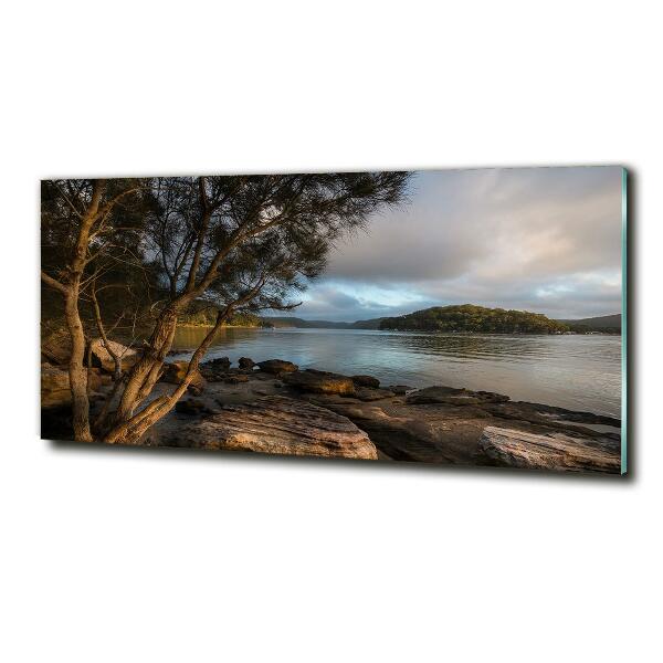 Cuadro decorativo de vidrio para salón horizontal Un árbol junto al río