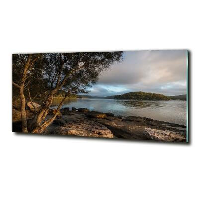 Cuadro decorativo de vidrio para salón horizontal Un árbol junto al río