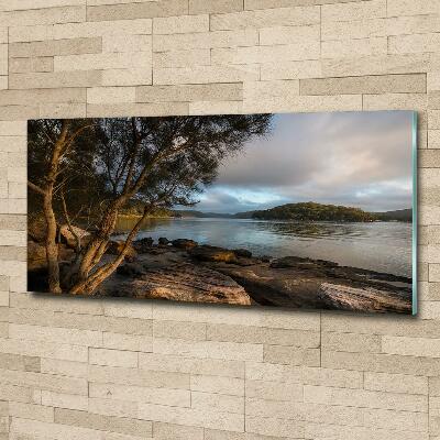 Cuadro decorativo de vidrio para salón horizontal Un árbol junto al río