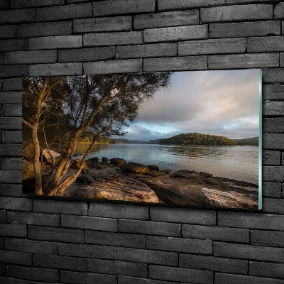 Cuadro decorativo de vidrio para salón horizontal Un árbol junto al río