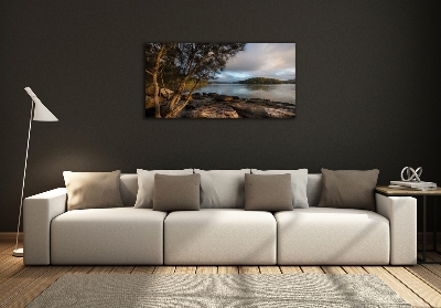 Cuadro decorativo de vidrio para salón horizontal Un árbol junto al río