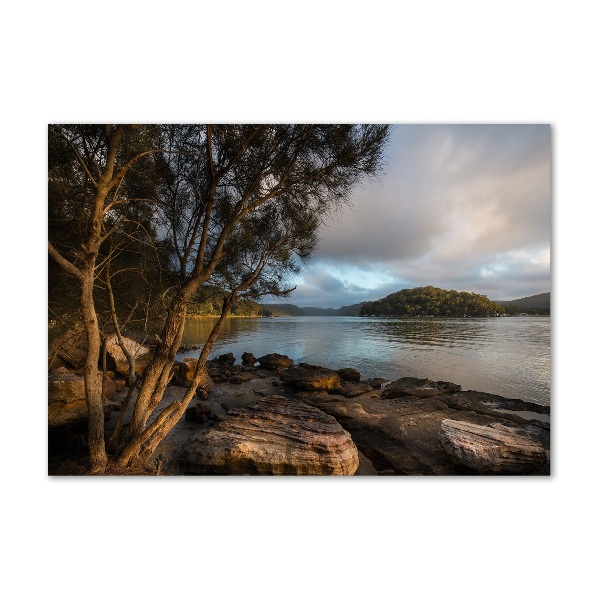 Cuadro decorativo de vidrio para salón horizontal Un árbol junto al río