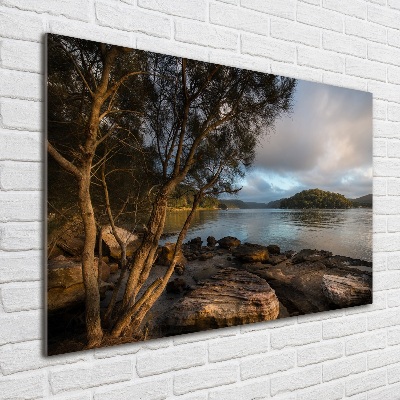 Cuadro decorativo de vidrio para salón horizontal Un árbol junto al río