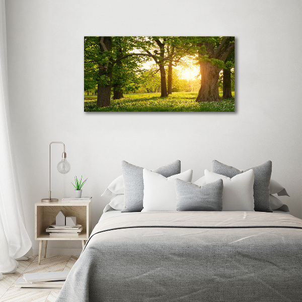 Foto en cristal de alta calidad con impresión uv horizontal Árboles en el parque