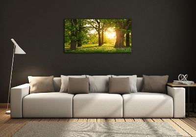 Foto en cristal de alta calidad con impresión uv horizontal Árboles en el parque