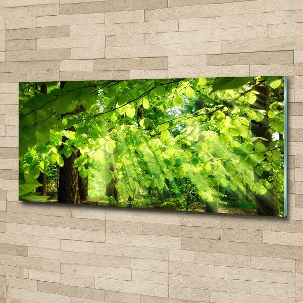 Cuadro decorativo de vidrio para salón horizontal hojas de haya