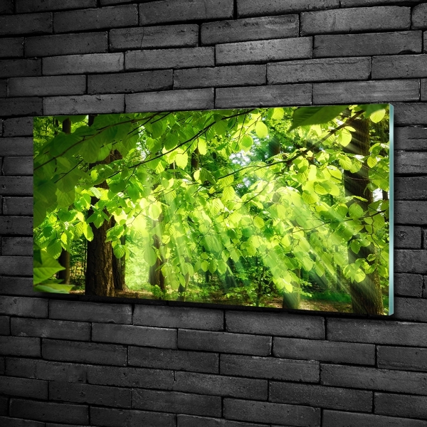 Cuadro decorativo de vidrio para salón horizontal hojas de haya