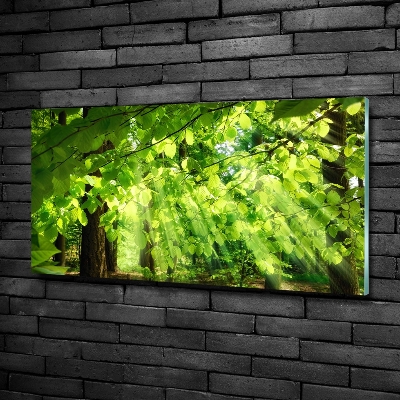 Cuadro decorativo de vidrio para salón horizontal hojas de haya