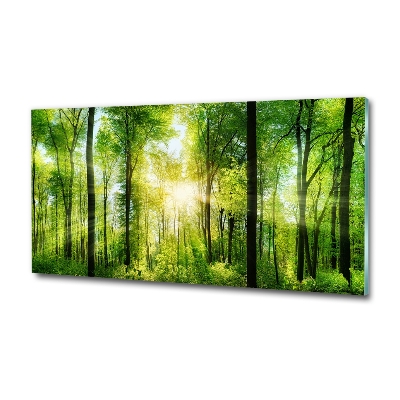 Cuadro de cristal templado moderno horizontal Bosque al sol