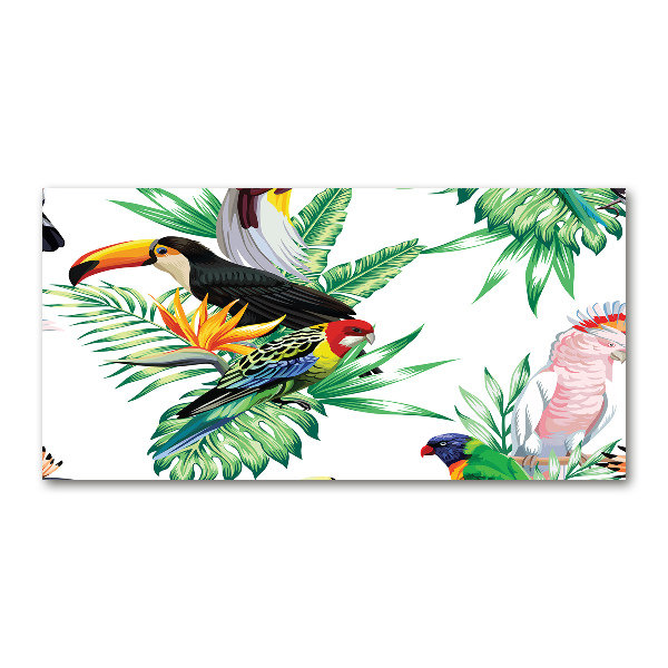 Cuadro de cristal templado moderno horizontal aves tropicales
