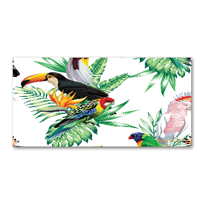 Cuadro de cristal templado moderno horizontal aves tropicales
