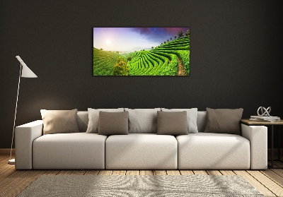 Cuadro decorativo de vidrio para salón horizontal Plantación de té