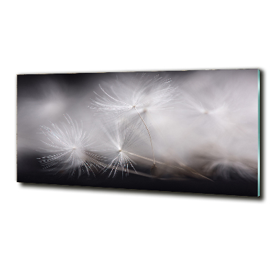 Foto en cristal de alta calidad con impresión uv horizontal semillas de diente de león