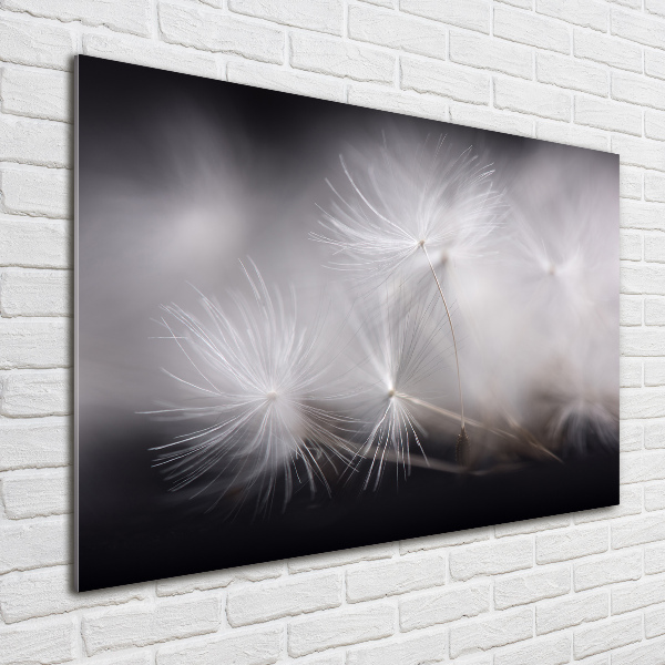 Foto en cristal de alta calidad con impresión uv horizontal semillas de diente de león