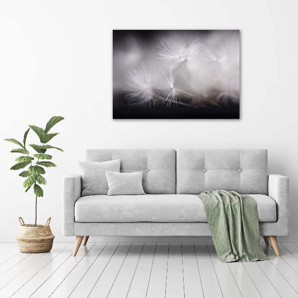 Foto en cristal de alta calidad con impresión uv horizontal semillas de diente de león