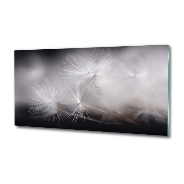 Foto en cristal de alta calidad con impresión uv horizontal semillas de diente de león
