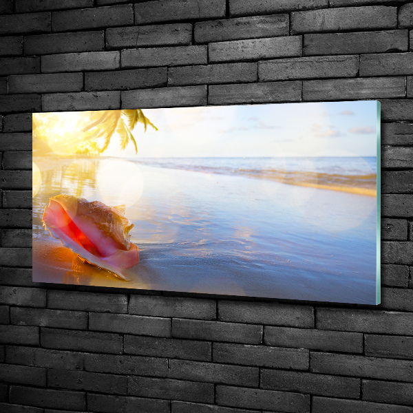 Foto en cristal de alta calidad con impresión uv horizontal Una concha en la playa