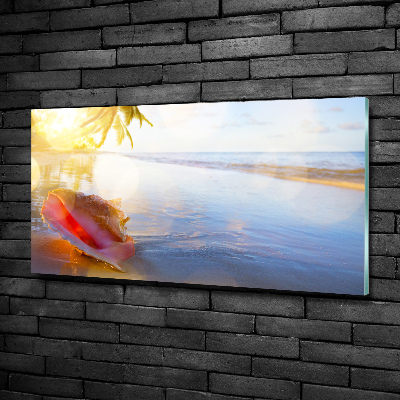 Foto en cristal de alta calidad con impresión uv horizontal Una concha en la playa