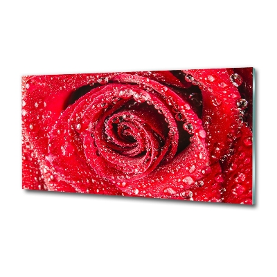 Cuadro decorativo de vidrio para salón horizontal Gotas de agua sobre una rosa